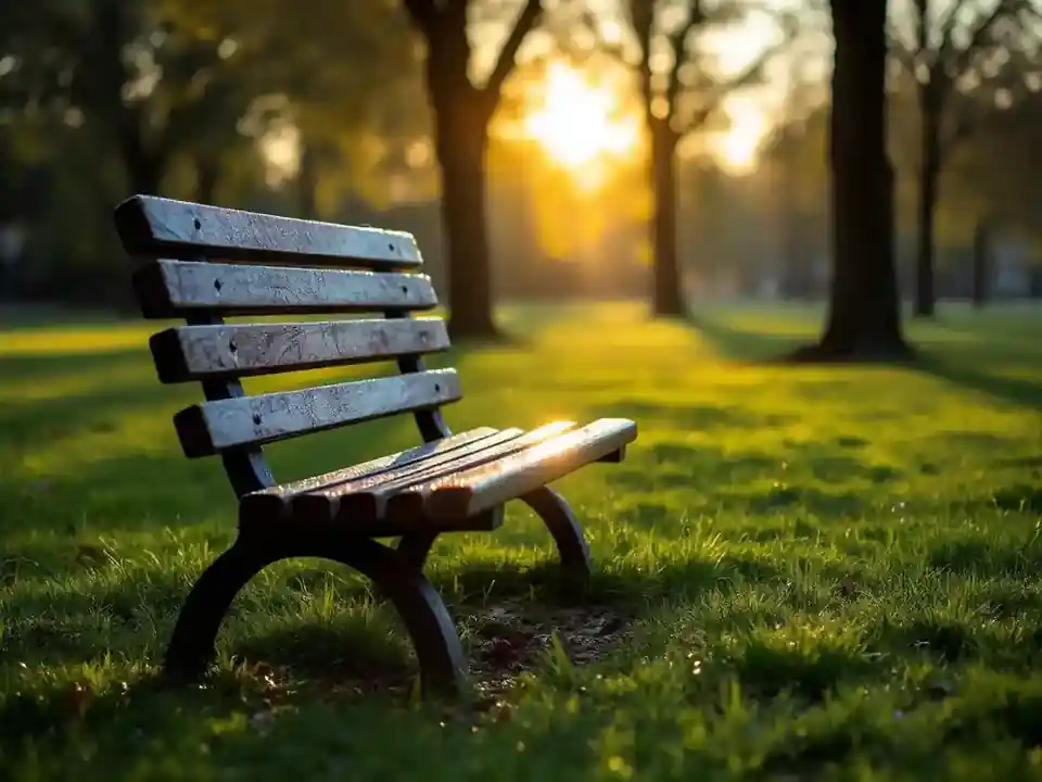 An empty park bench on a dew-covered lawn at sunrise